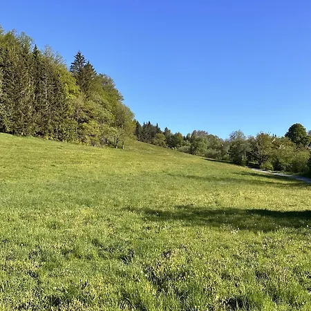 Smart B&b1 Bb1 121 *